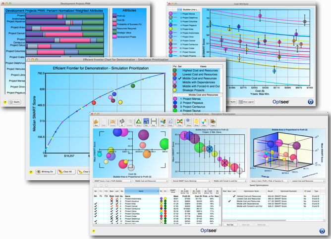 Project portfolio management charts